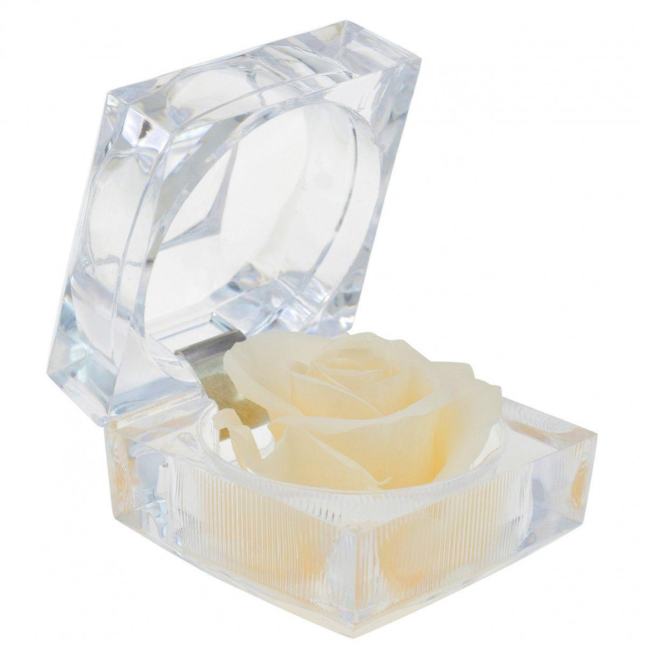 SC CRYSTAL Rose éternelle beige