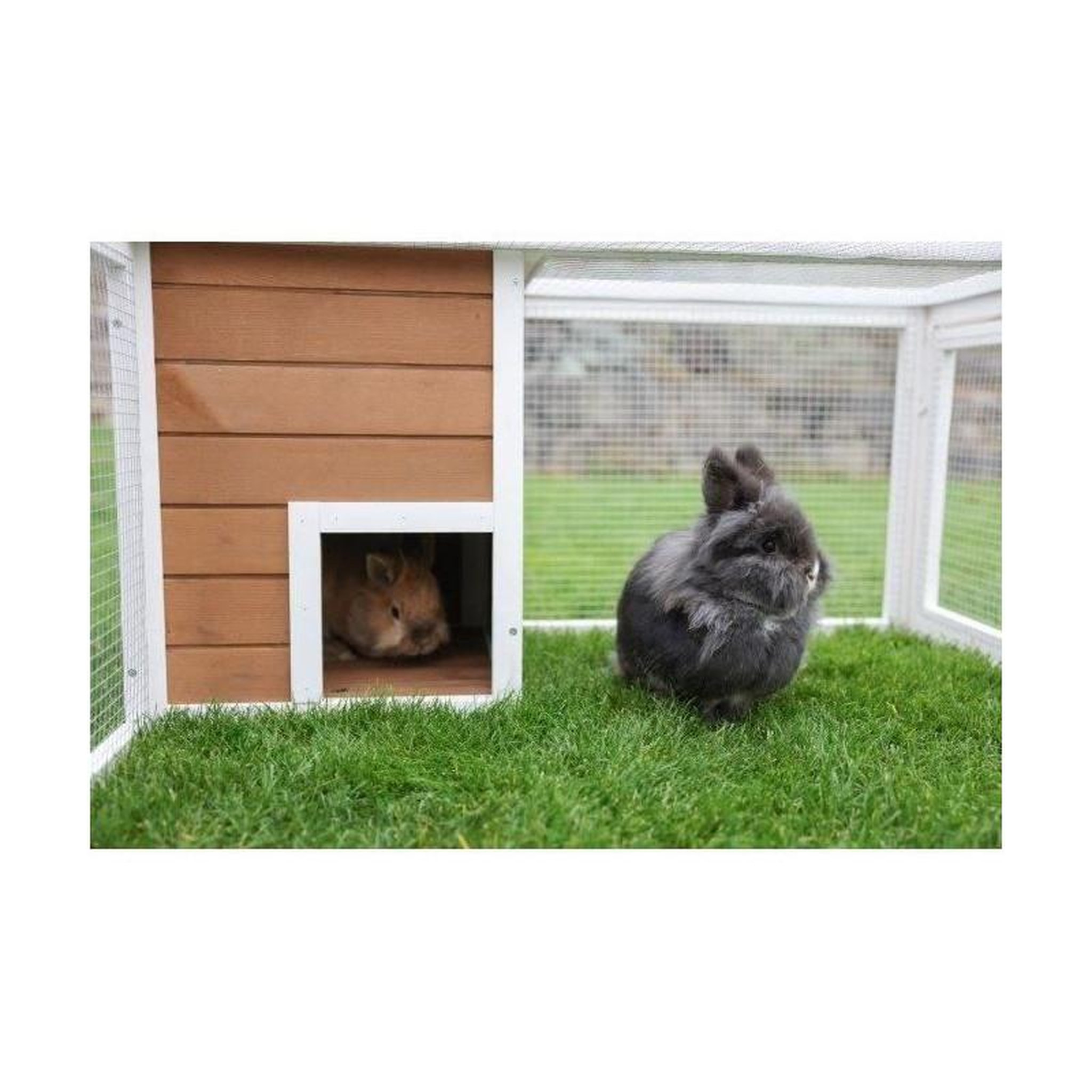 Voir la diapositive 3 : KERBL Enclos d'extérieur petits animaux - KERBL - 132 x 102 x 59 cm - Maison intégrée - Grillage