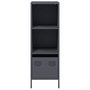 Voir la diapositive 5 : VIDAXL Buffet haut anthracite 35x39x103,5 cm acier