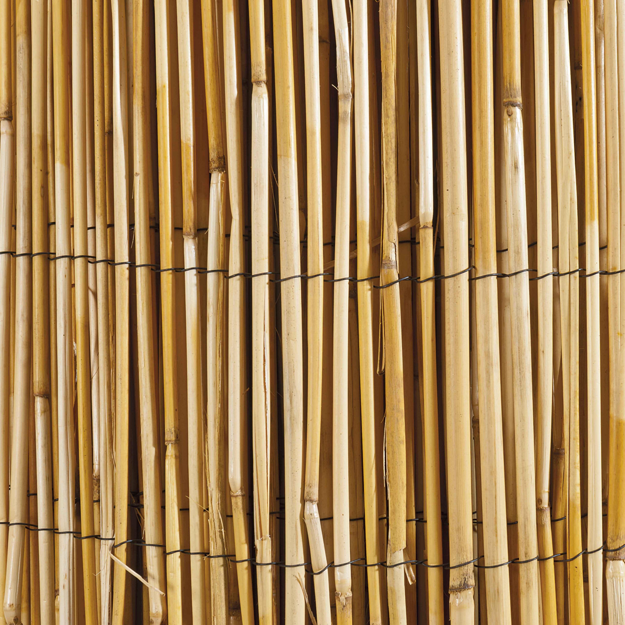 Voir la diapositive 2 :  Canisse en roseau naturel WERKA PRO  1,5x10m