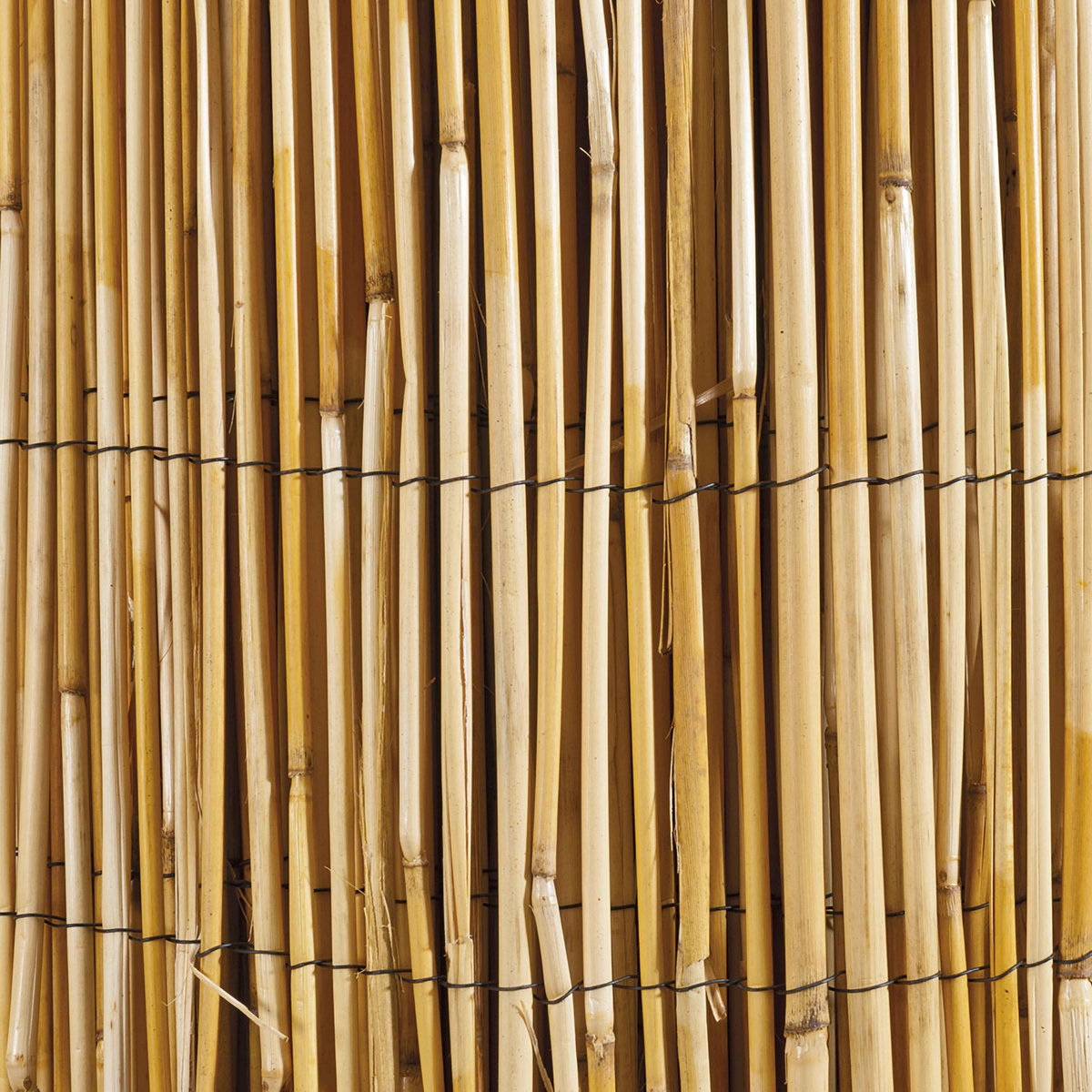  Canisse en roseau naturel WERKA PRO  1,5x10m