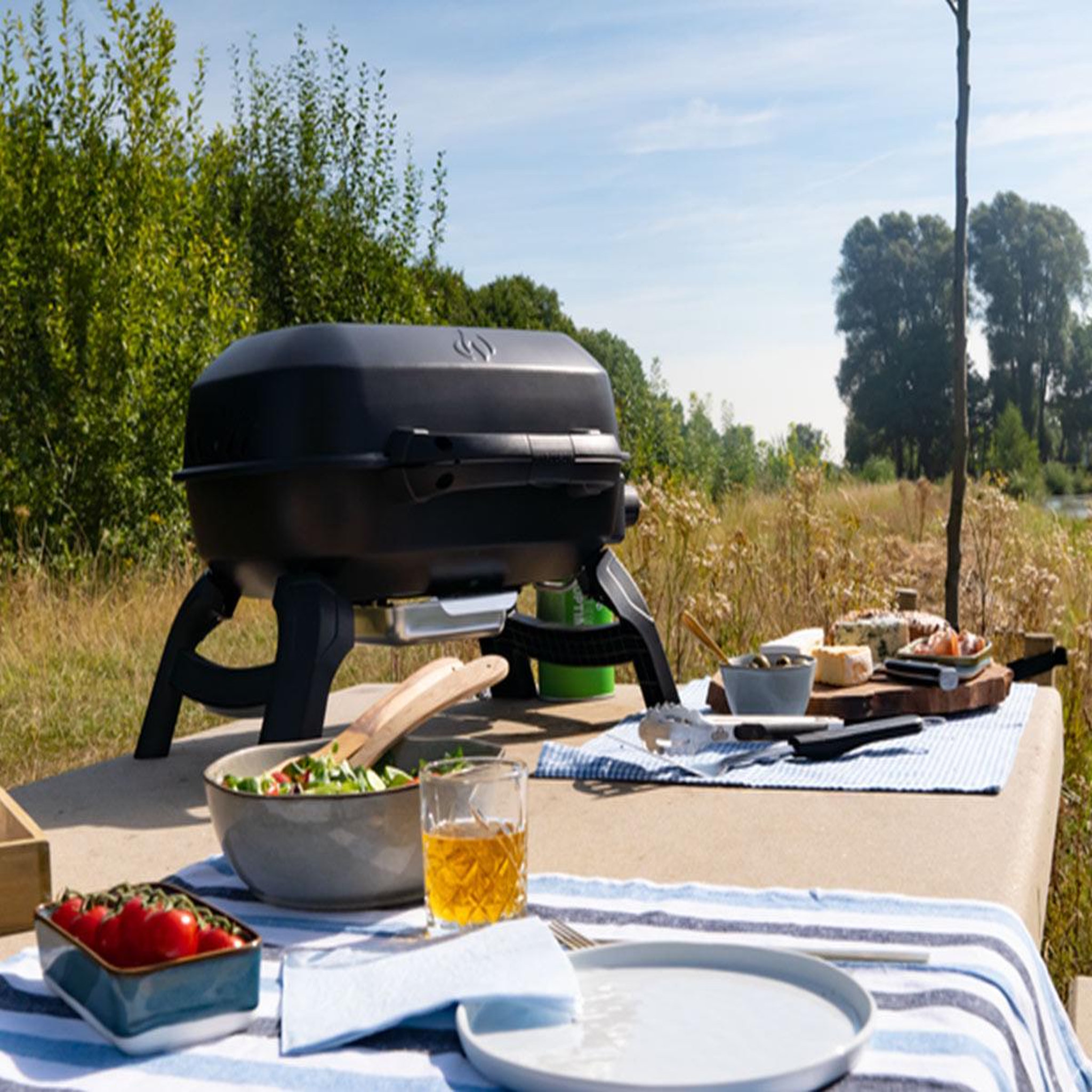 Voir la diapositive 4 : NAPOLEON Barbecue à gaz portable travel q 240 - napoleon