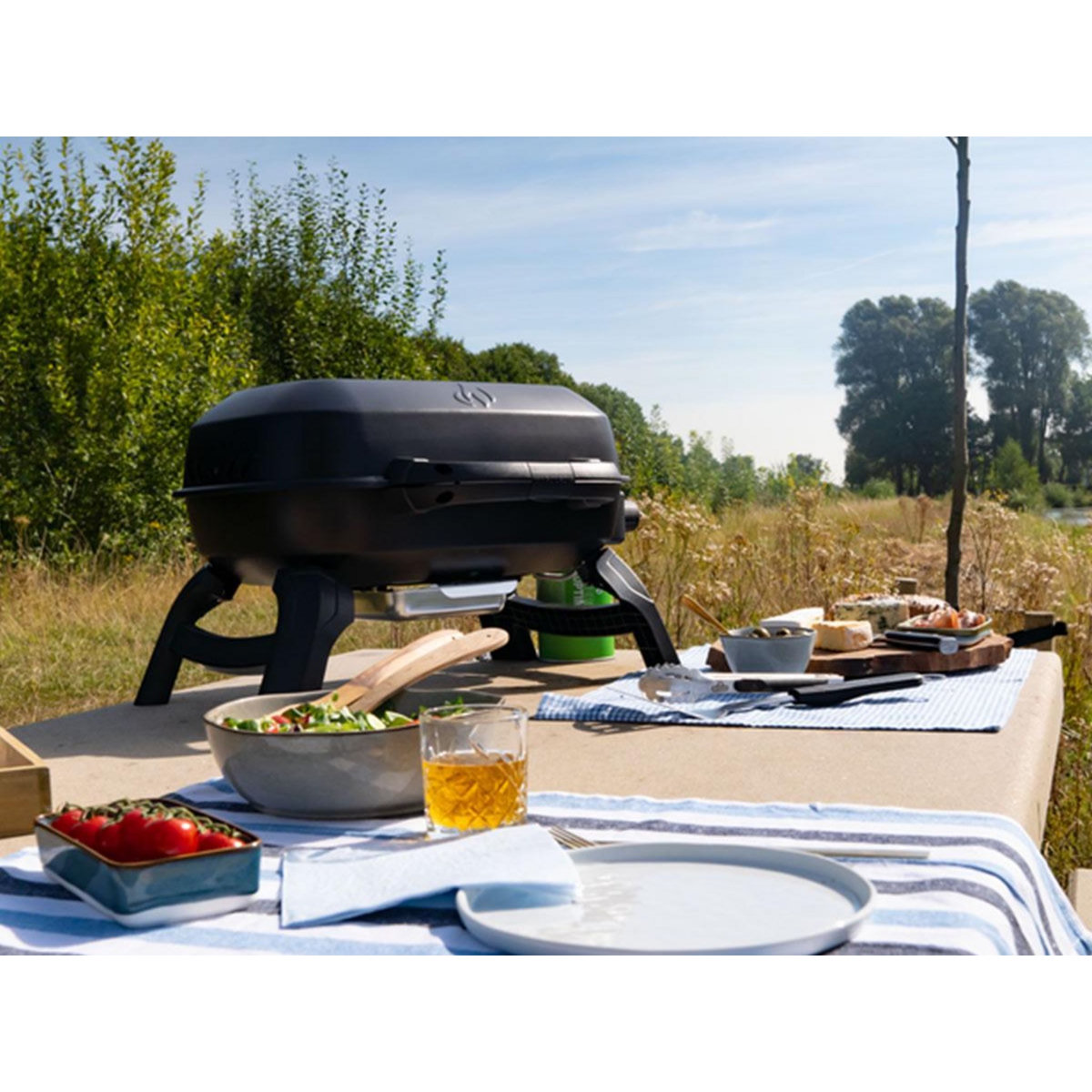 NAPOLEON Barbecue à gaz portable Travel Q 240 - Napoleon