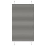 VIDAXL Store plisse anthracite 75x150 cm largeur du tissu 74,4 cm