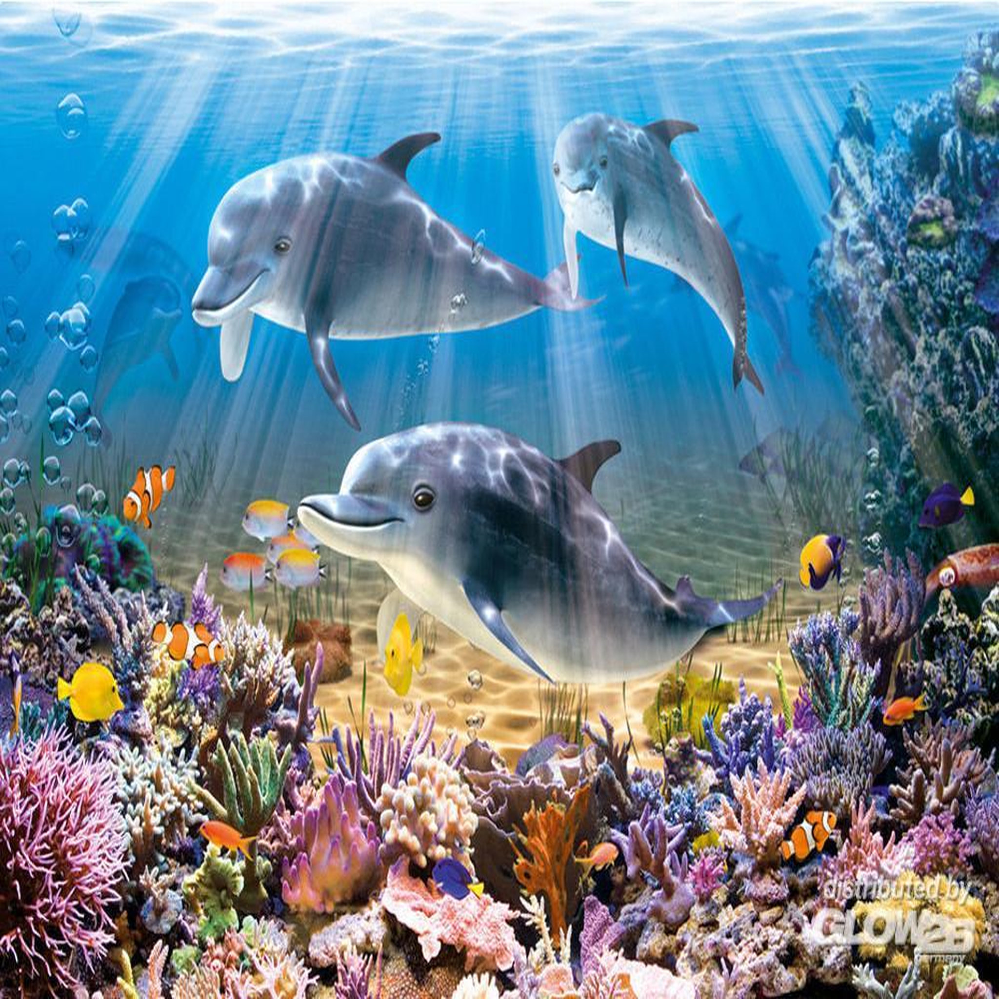 Voir la diapositive 2 : Castorland Puzzle 500 pièces - le monde des dauphins