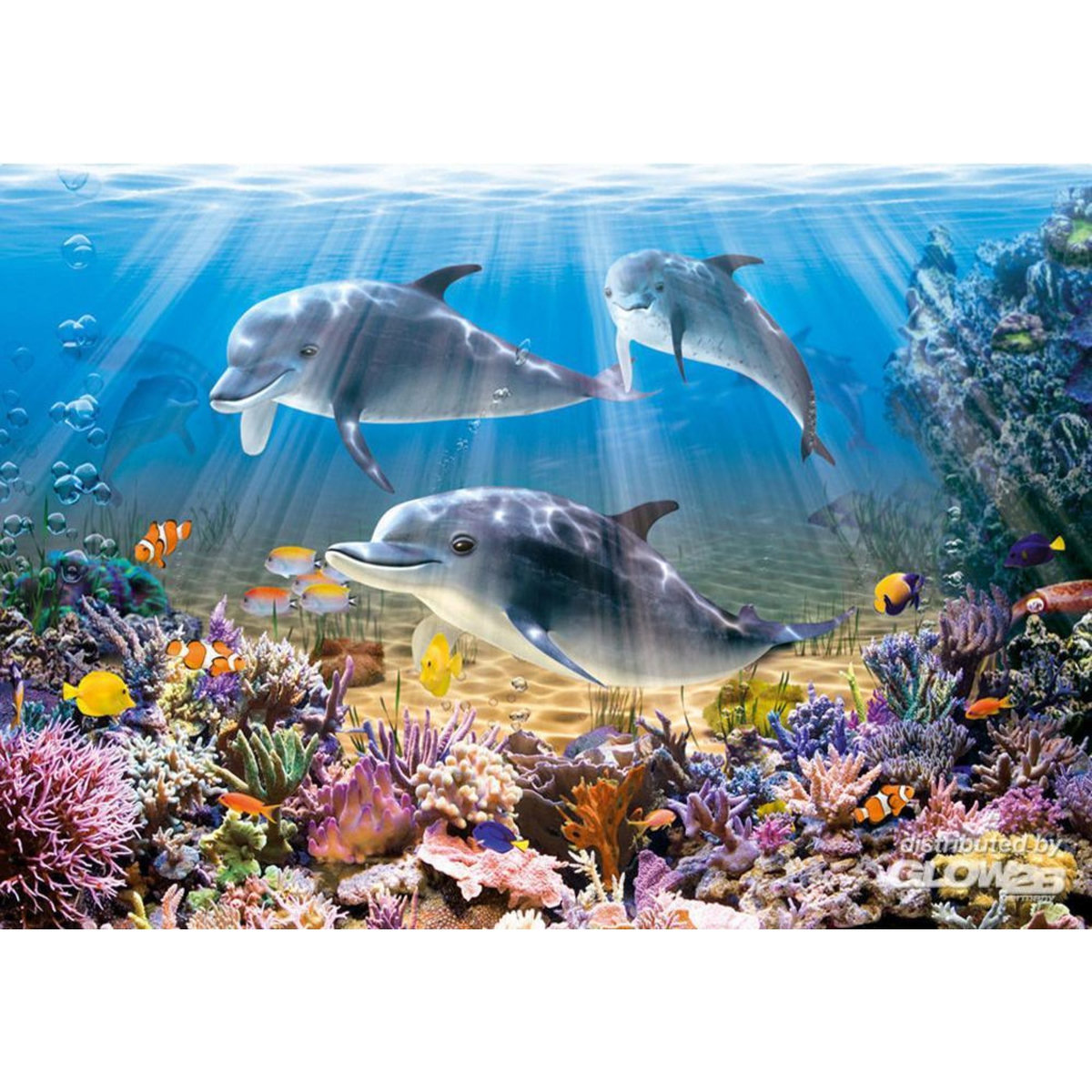 Castorland Puzzle 500 pièces - Le monde des dauphins
