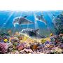 Voir la diapositive 2 : Castorland Puzzle 500 pièces - Le monde des dauphins