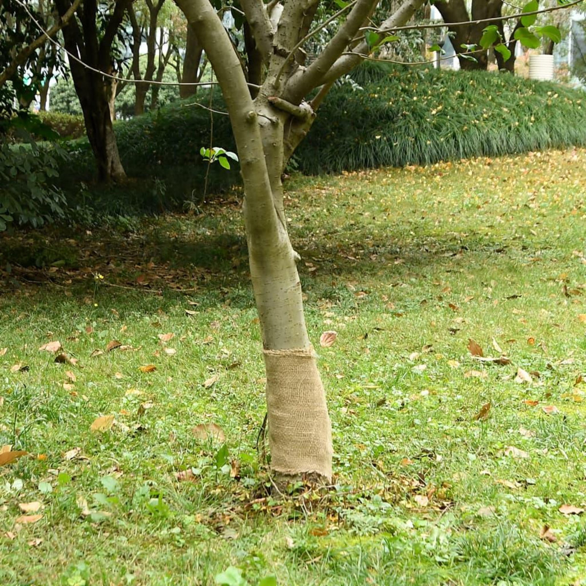 VIDAXL Rouleau de jute 0,25x10 m 100 % jute 200 g/m²