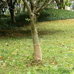 VIDAXL Rouleau de jute 0,25x10 m 100 % jute 200 g/m²