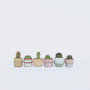 Voir la diapositive 6 : PLANT IN A BOX Mélange de mini cactus - Set de 6 - Cactus - Hauteur 5-10cm - ⌀5,5cm