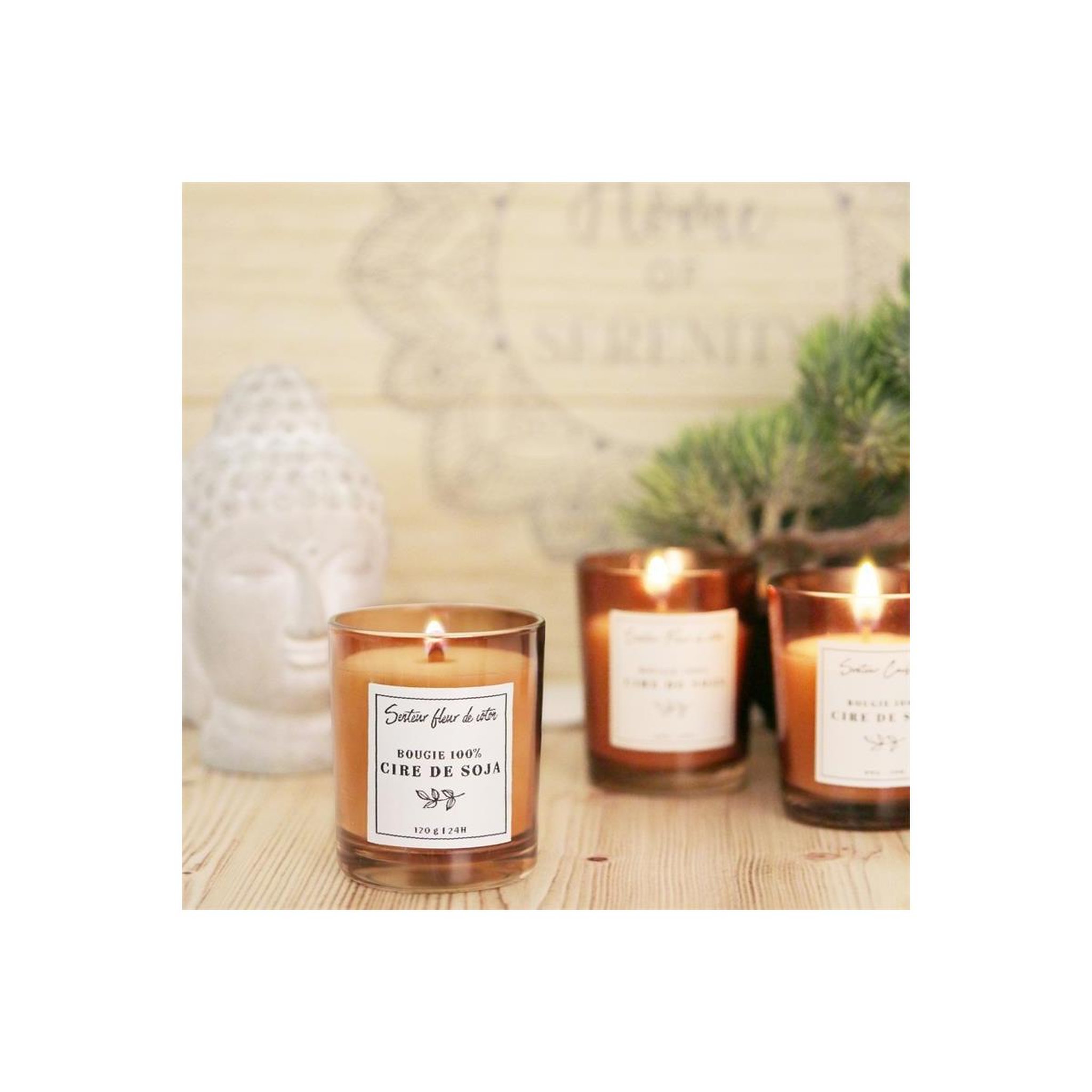Voir la diapositive 3 : The Home Deco Factory Bougie parfumée  cire de soja  8cm fleur de coton