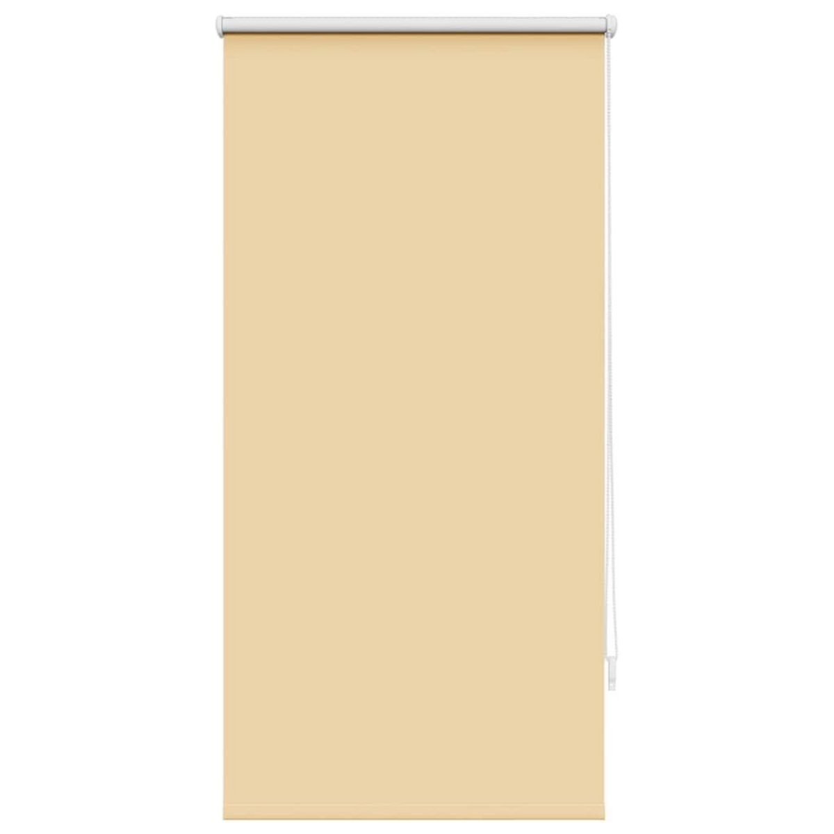 VIDAXL Store enrouleur occultant beige 60 x 120 cm