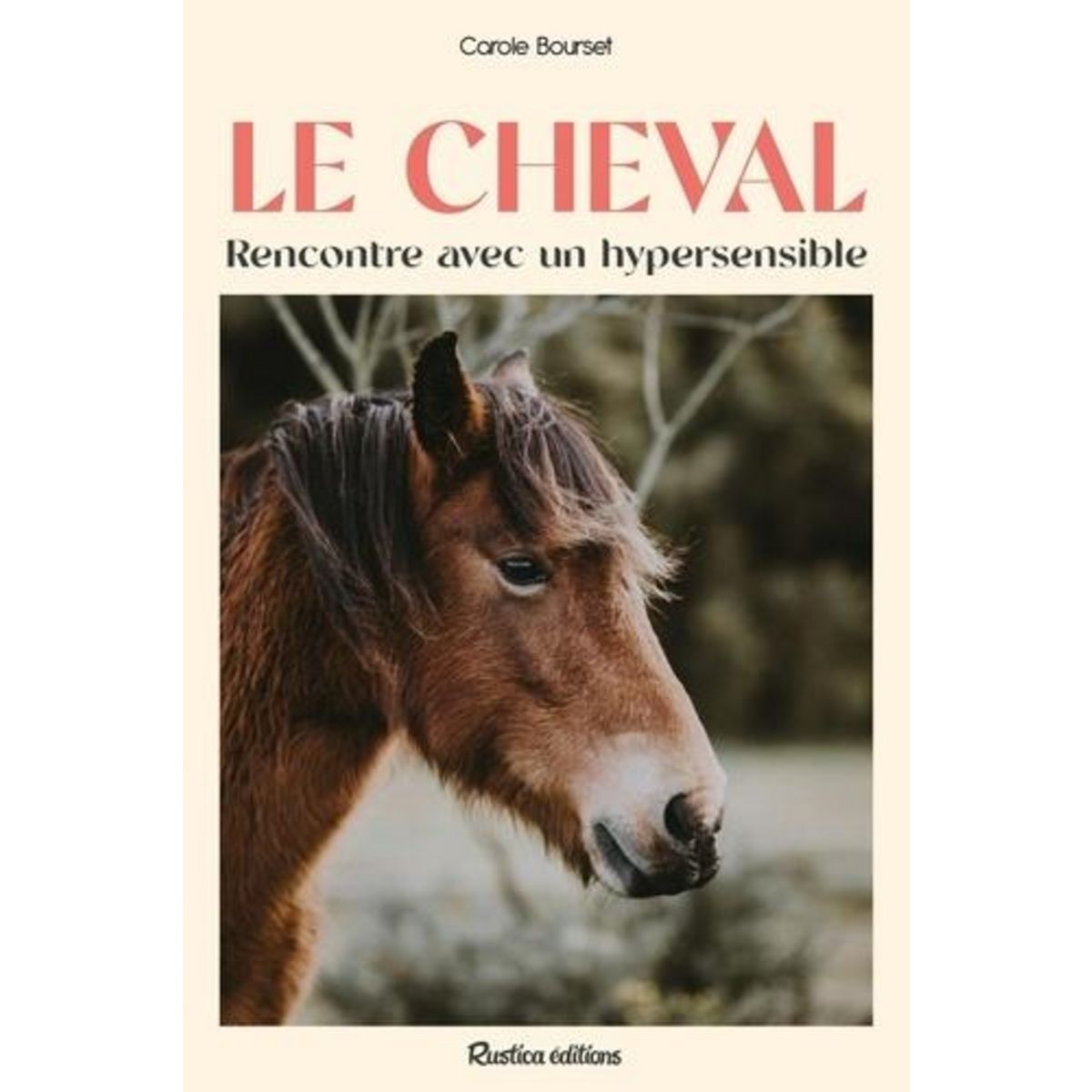 LE CHEVAL. RENCONTRE AVEC UN HYPERSENSIBLE, Bourset Carole
