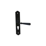 ESPACE-BRICOLAGE Poignée de porte sur plaque étroite à clé classique modèle Beynac - Fer noir