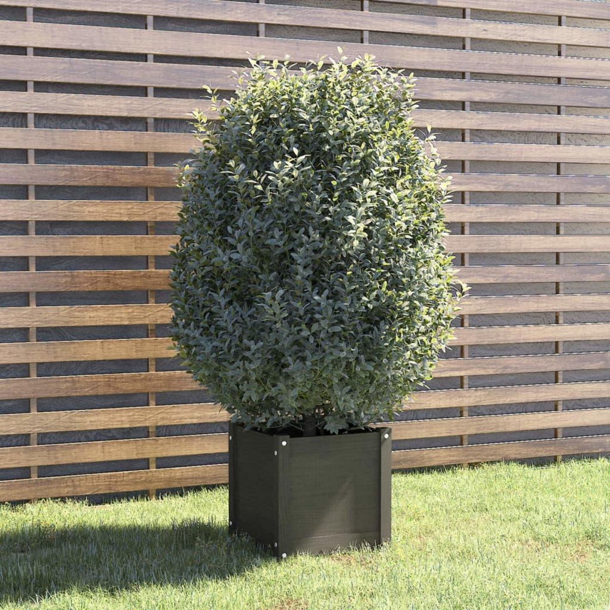 VIDAXL Jardiniere Gris 40x40x40 cm Bois de pin massif