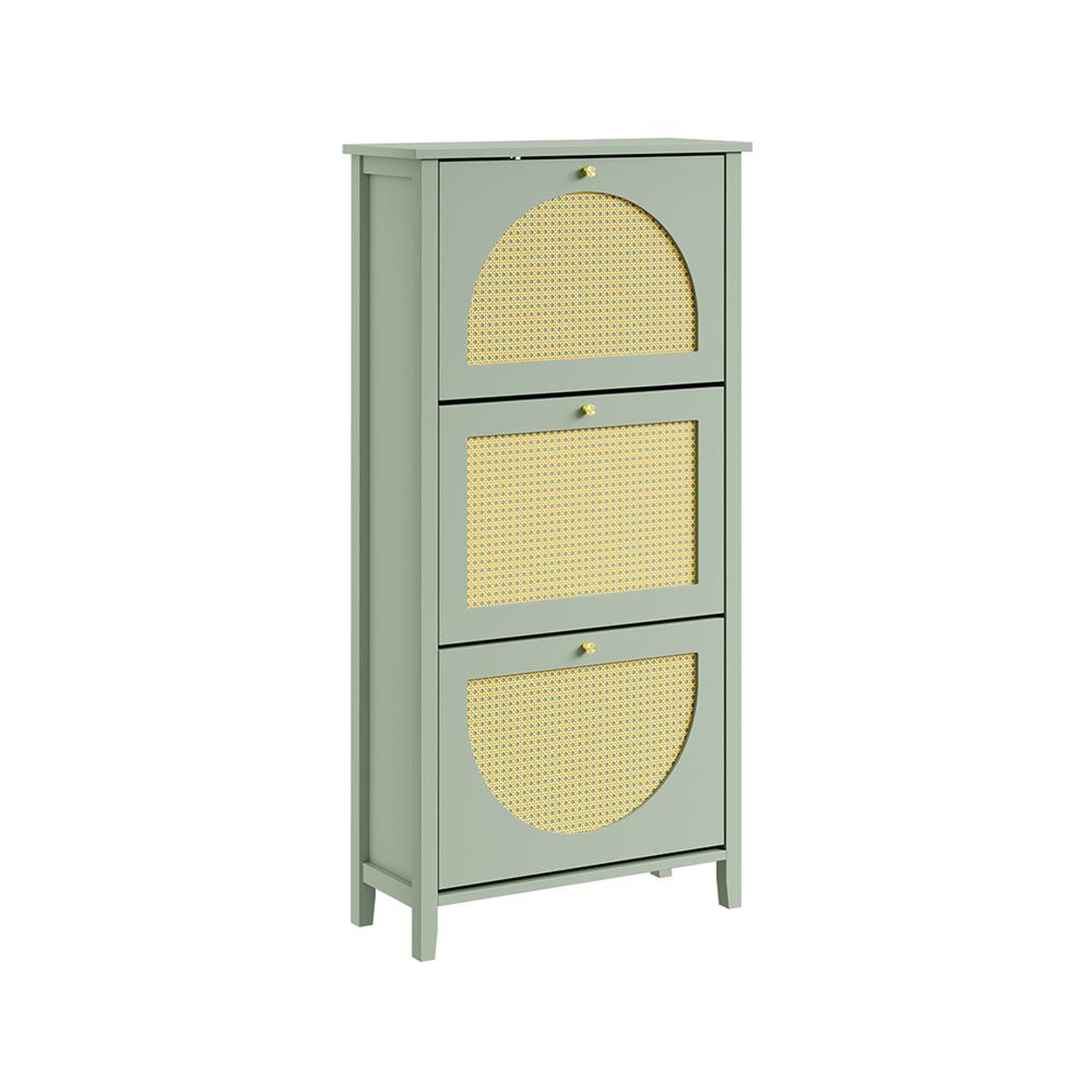 SOBUY Armoire à Chaussures Vert 62x25x121cm FSR222-GR