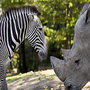 Voir la diapositive 4 : Smartbox Billet pour le ZooParc de Beauval 2026 : 1 entrée enfant pour 1 journée - Coffret Cadeau Multi-thèmes