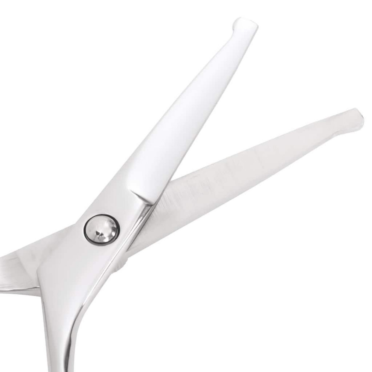 VIDAXL Ensemble de ciseaux de toilettage pour chien 7 pcs