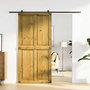 Voir la diapositive 1 : VIDAXL Porte de grange CORONA 100x210 cm bois massif de pin