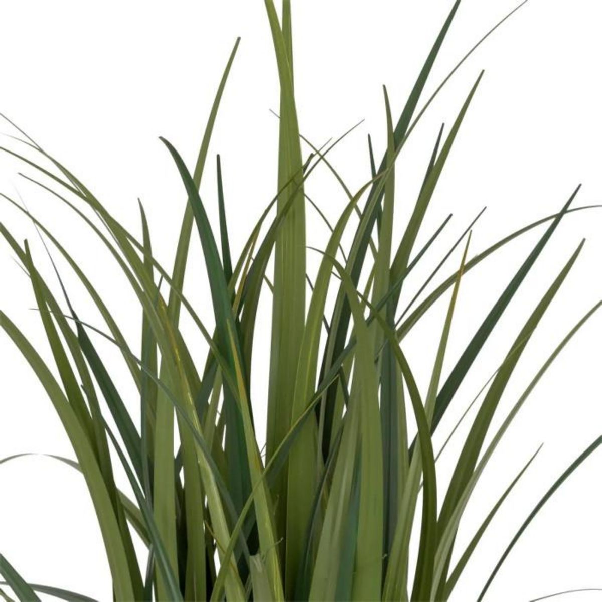 ATMOSPHERA Plante Artificielle Bunch de Lin  Zya  122cm Vert