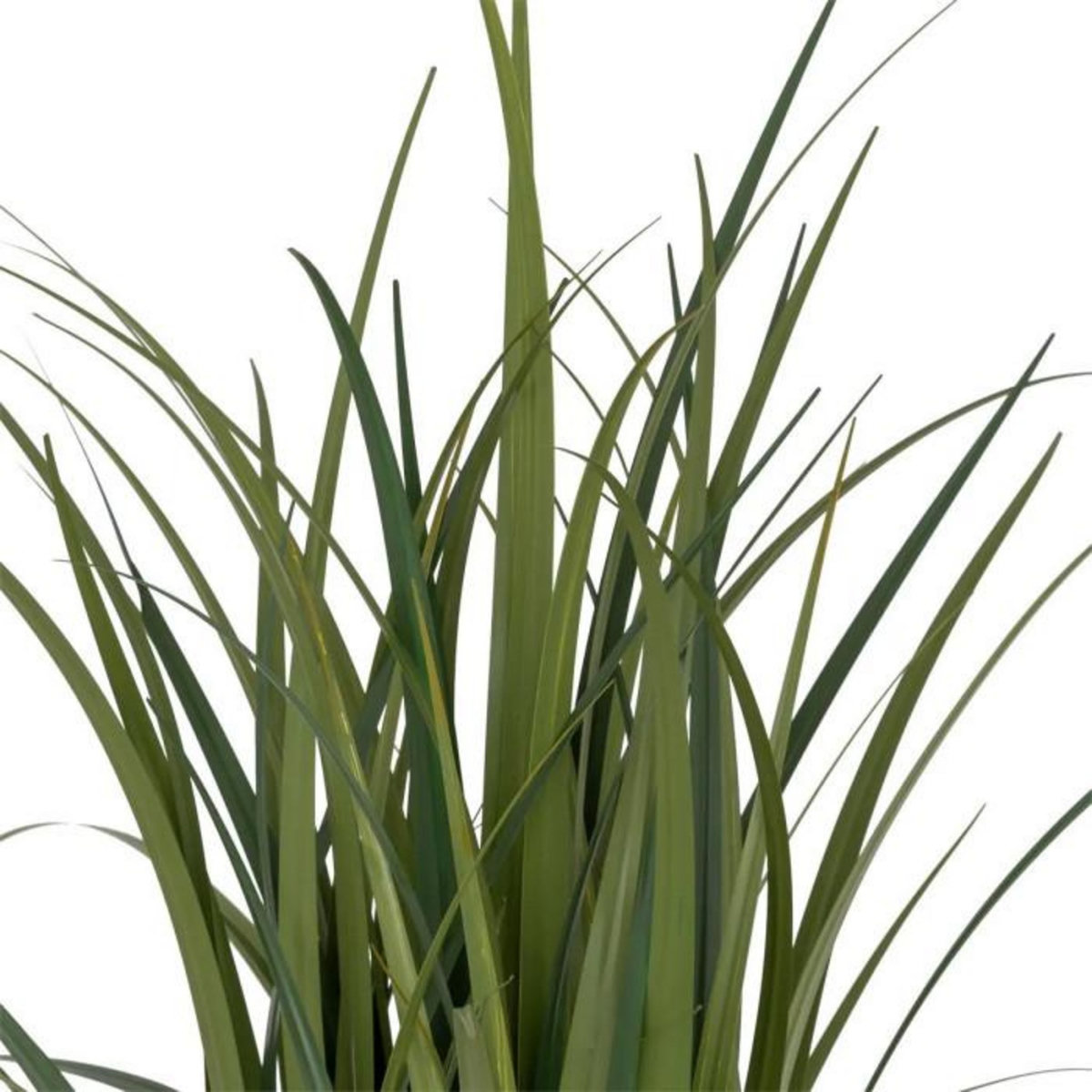 ATMOSPHERA Plante Artificielle Bunch de Lin  Zya  122cm Vert