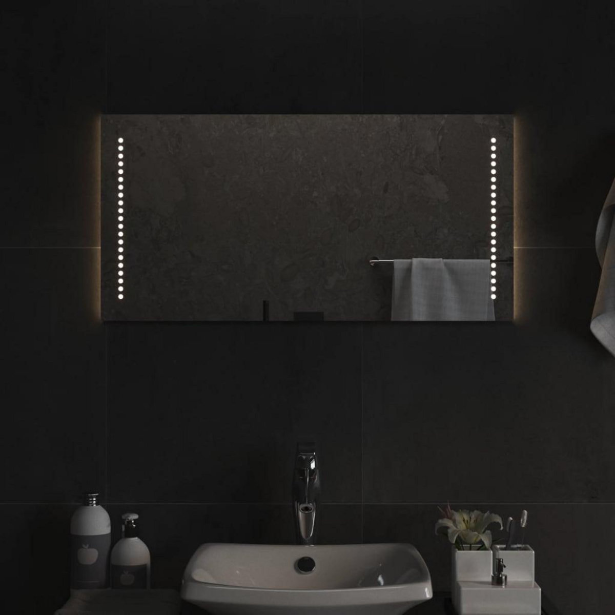 VIDAXL Miroir de salle de bain a LED 40x80 cm