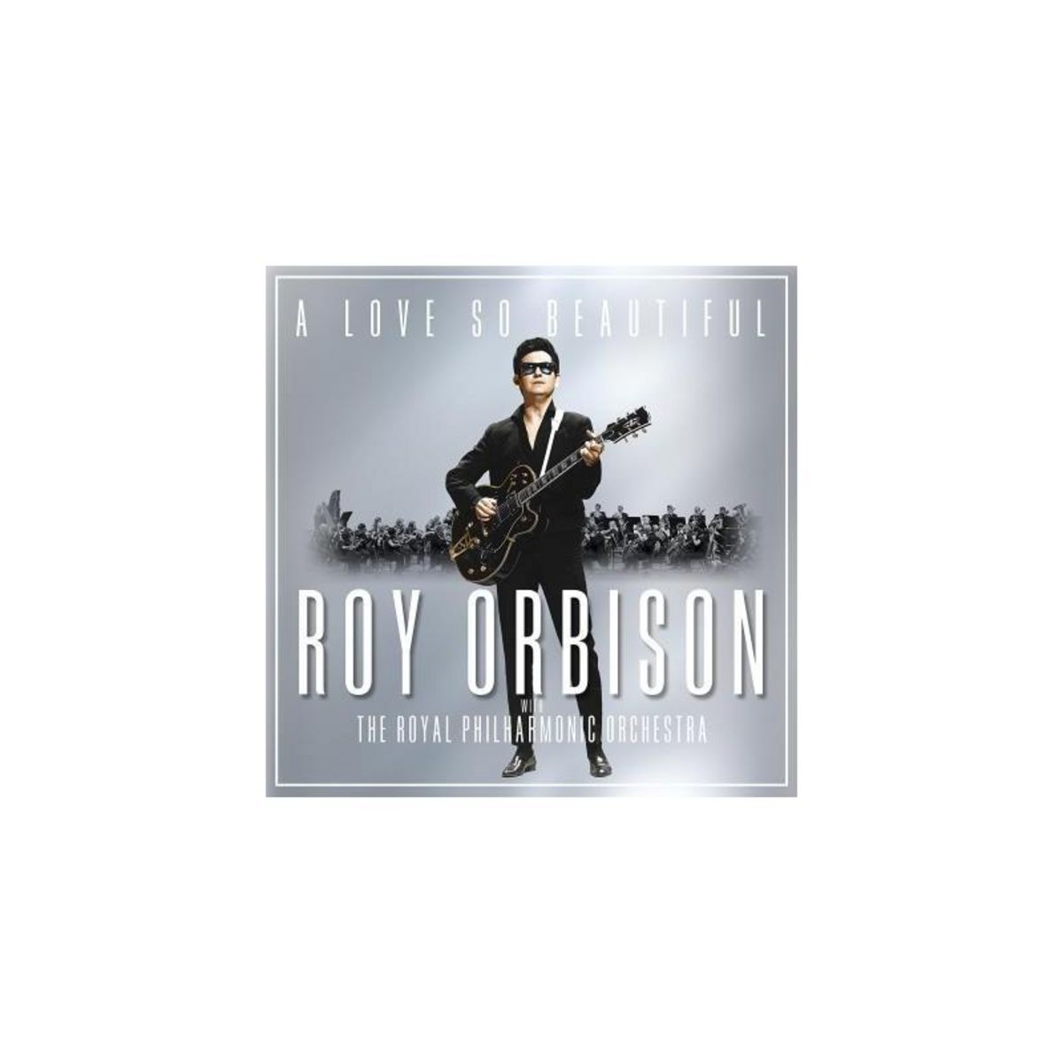 SONY A Love So Beautiful