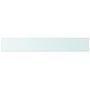 Voir la diapositive 2 : VIDAXL Panneau pour etagere Verre transparent 100 x 15 cm