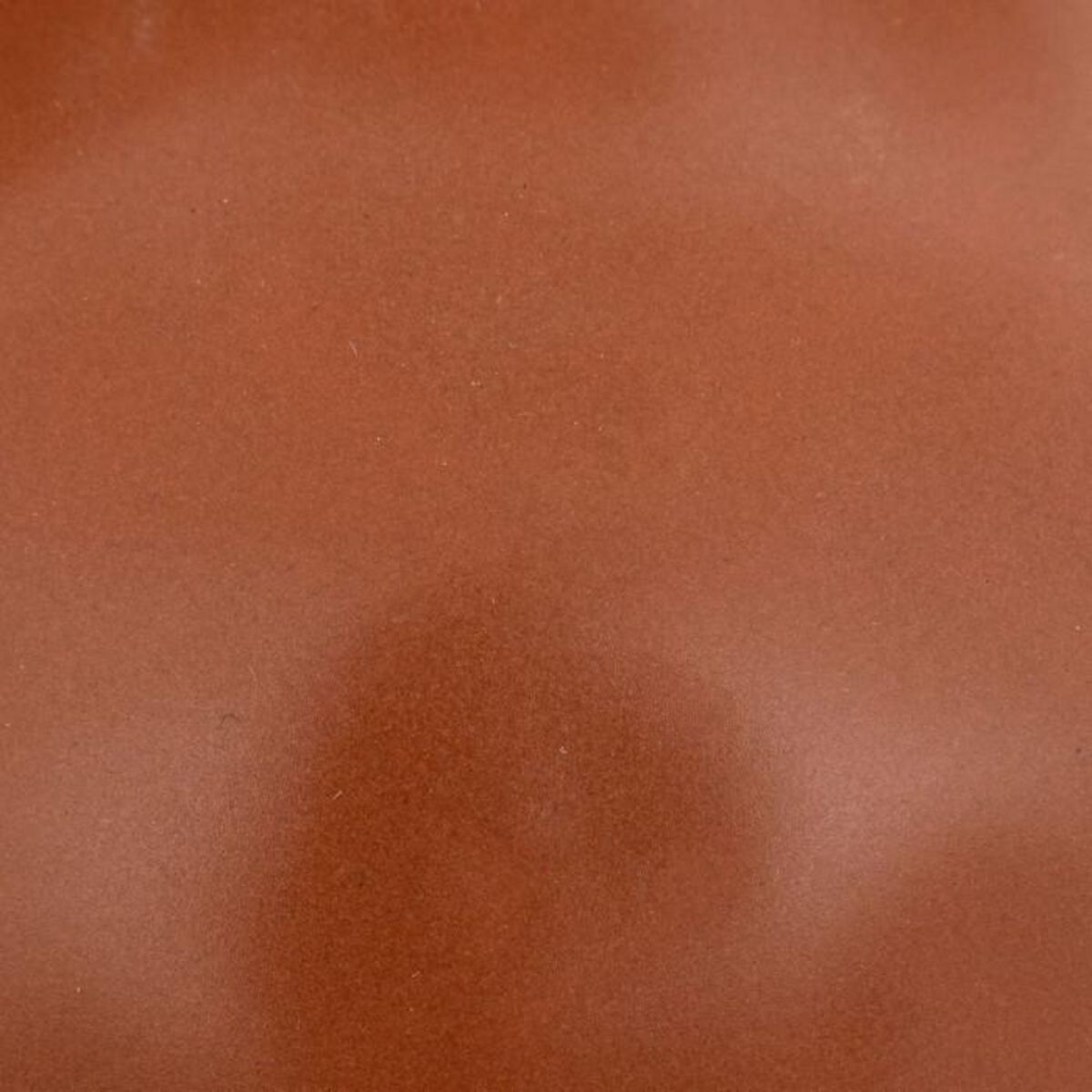 ATMOSPHERA Vase Design avec Anses  Olme  20cm Cannelle