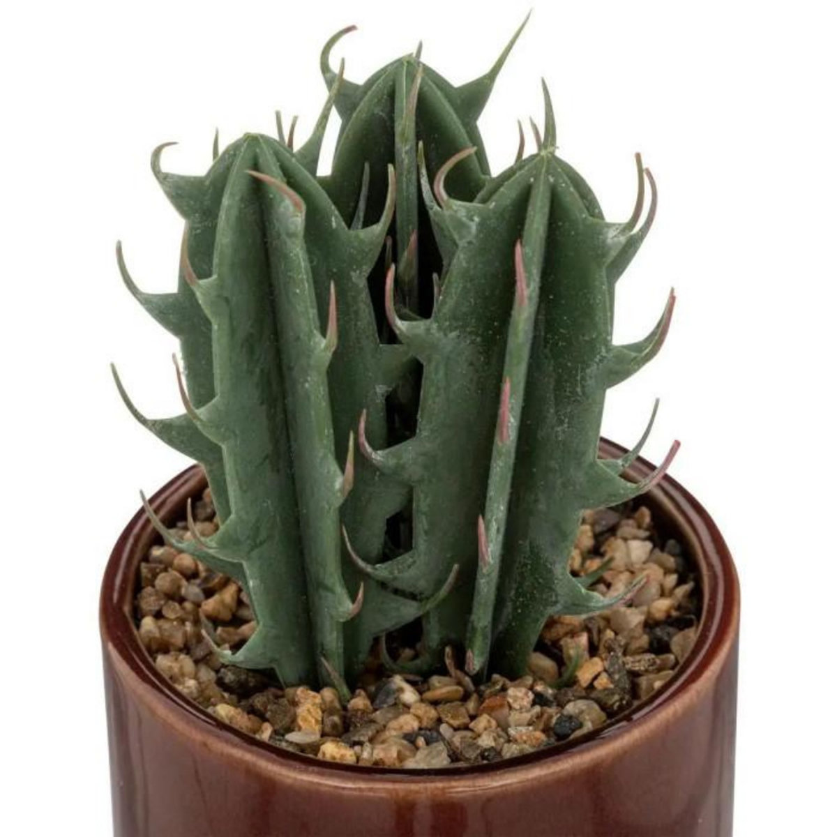 ATMOSPHERA Plante Artificielle en Pot Déco  Bota  14cm Marron