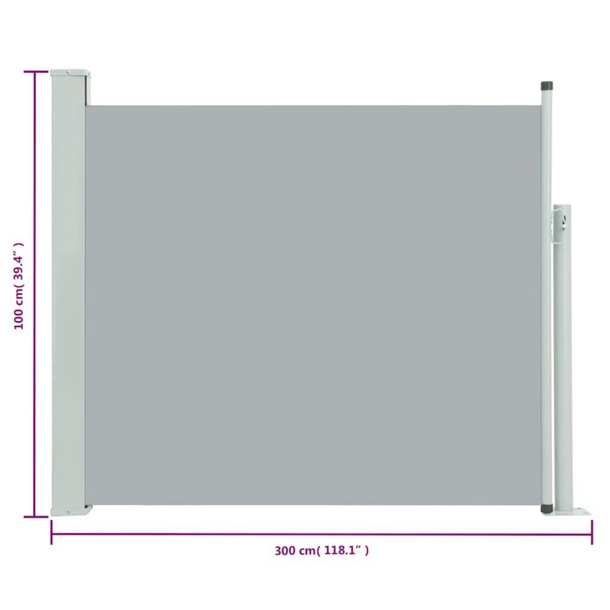 VIDAXL Auvent lateral retractable de patio 100x300 cm Gris