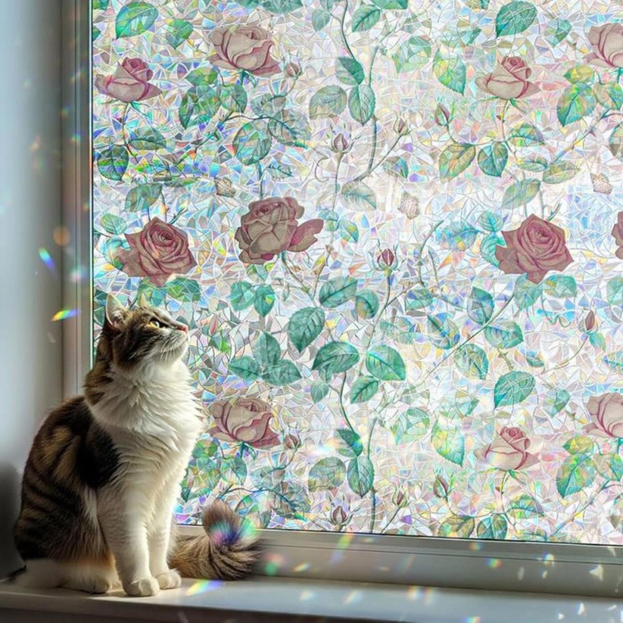 Film fenêtre 3D arc-en-ciel électrostatique sans colle motif roses 45 x 200 cm protection UV intimité