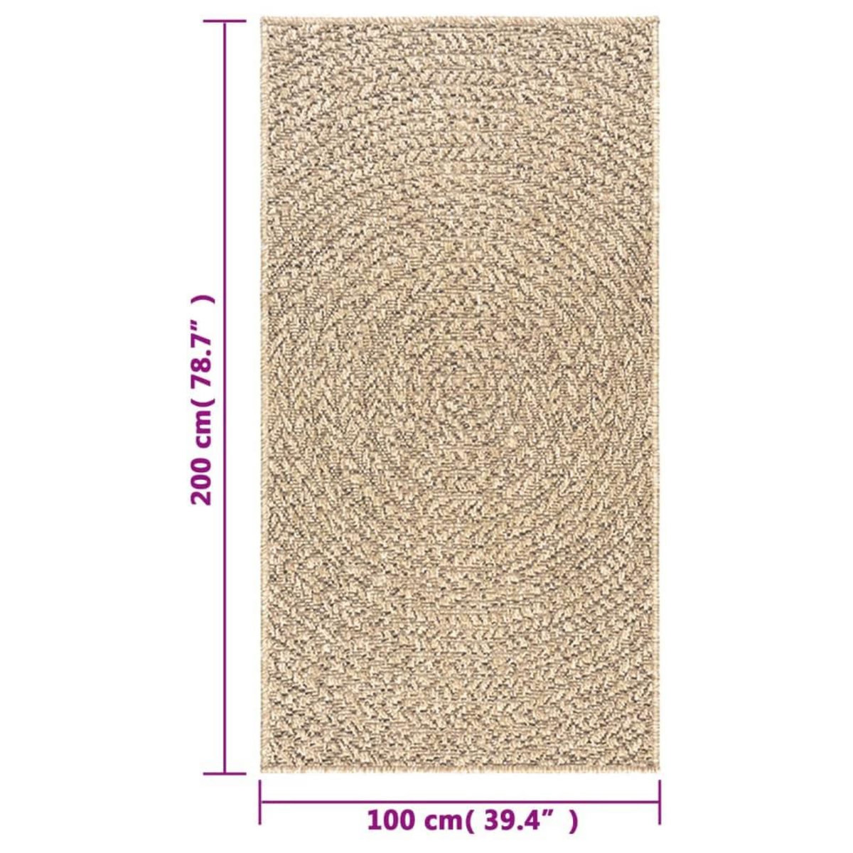 VIDAXL Tapis ZIZUR 100x200 cm aspect de jute interieur et exterieur