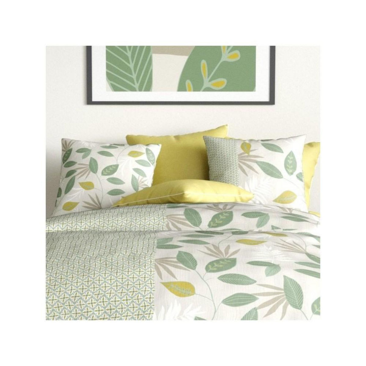 ATELIER DU COTON Housse de couette 240x220 ARECA + 2 taies coton 57 fils