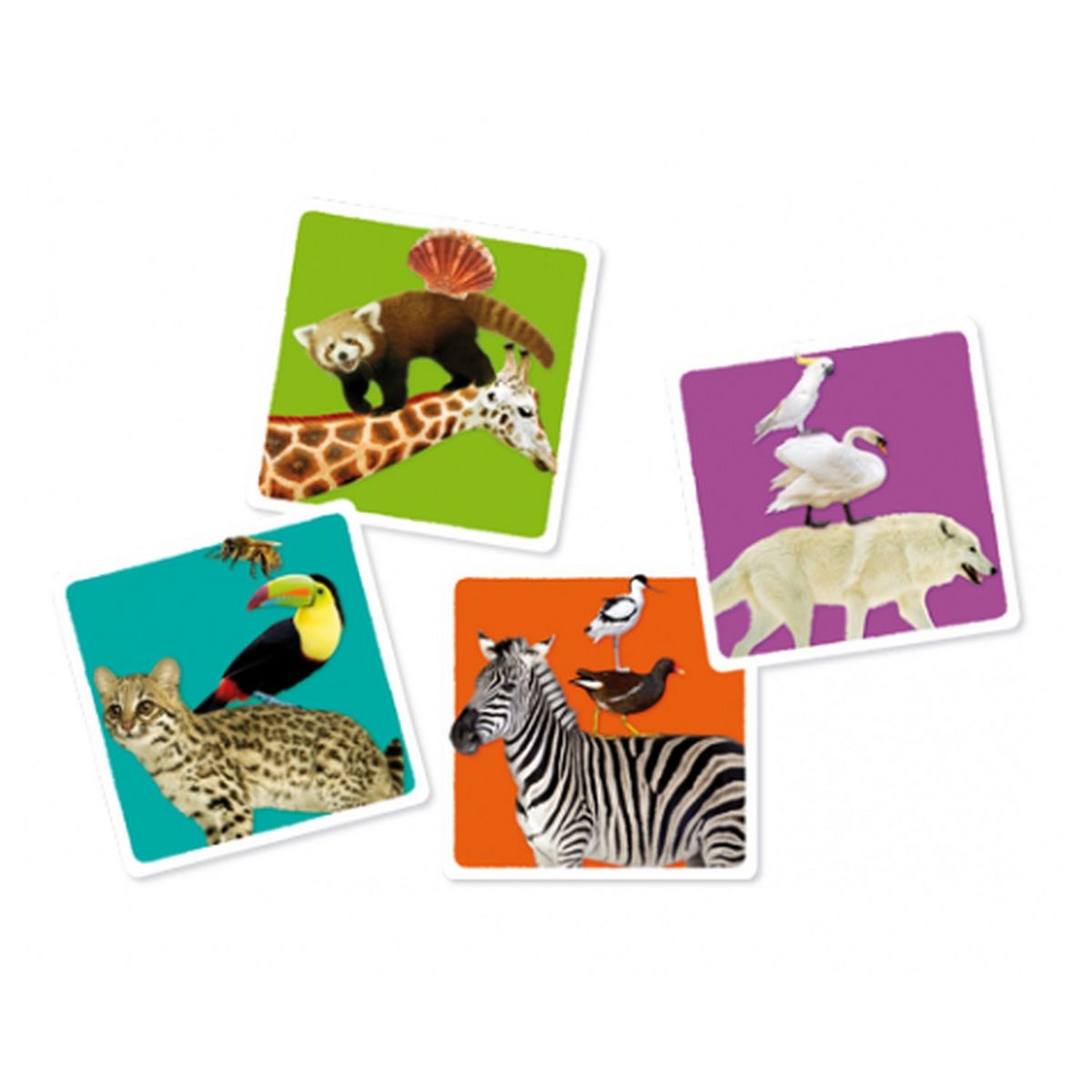 DISET Jeu Mission Animaux