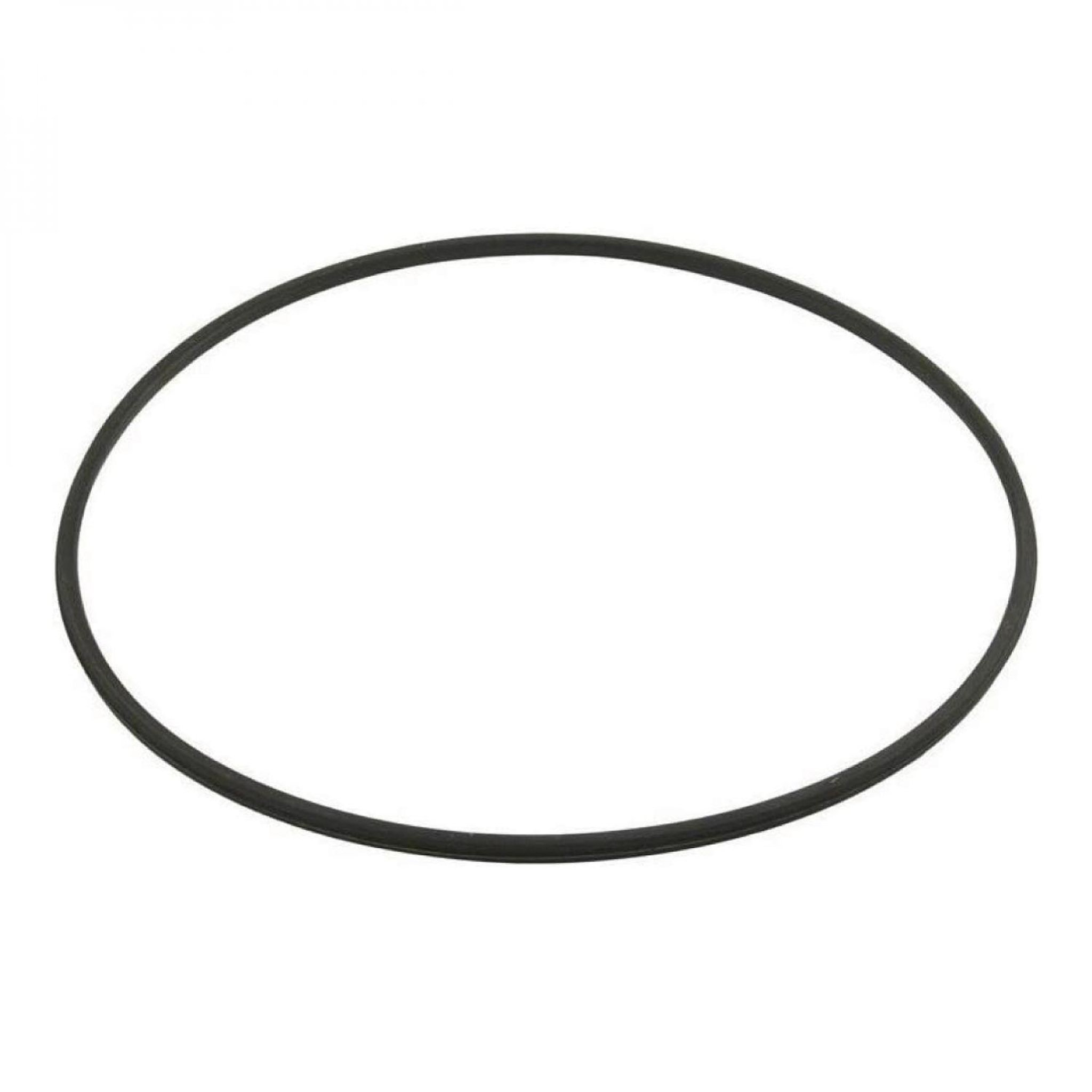 Hayward Joint torique de corps de filtre - Noir - DEX2422Z2