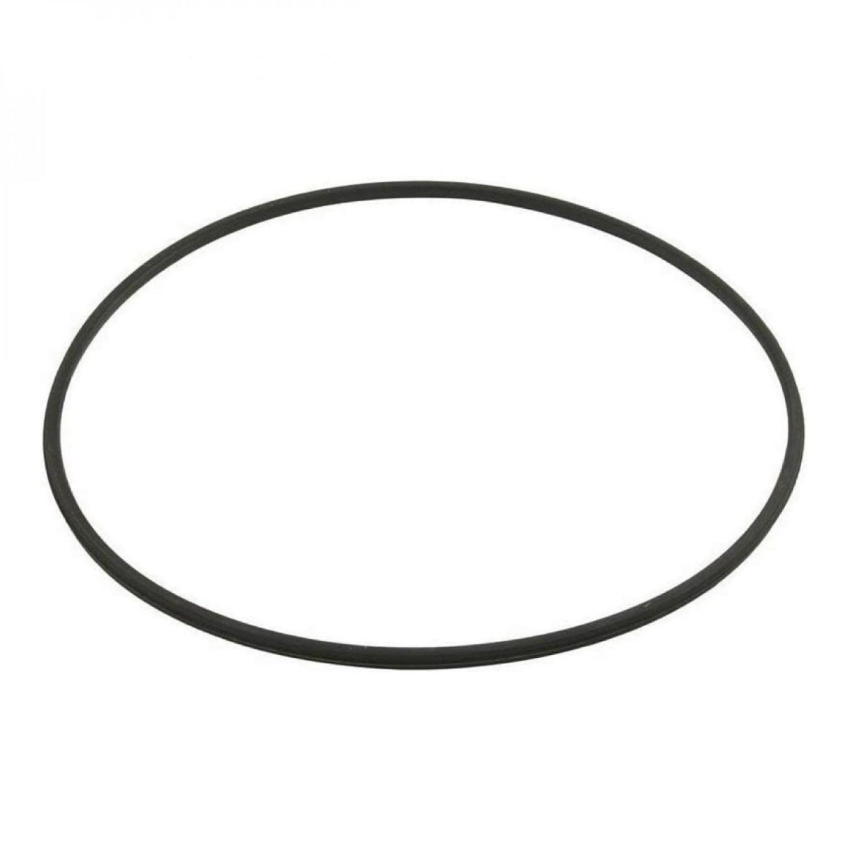 Hayward Joint torique de corps de filtre - Noir - DEX2422Z2