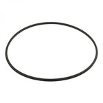 Hayward Joint torique de corps de filtre - Noir - DEX2422Z2