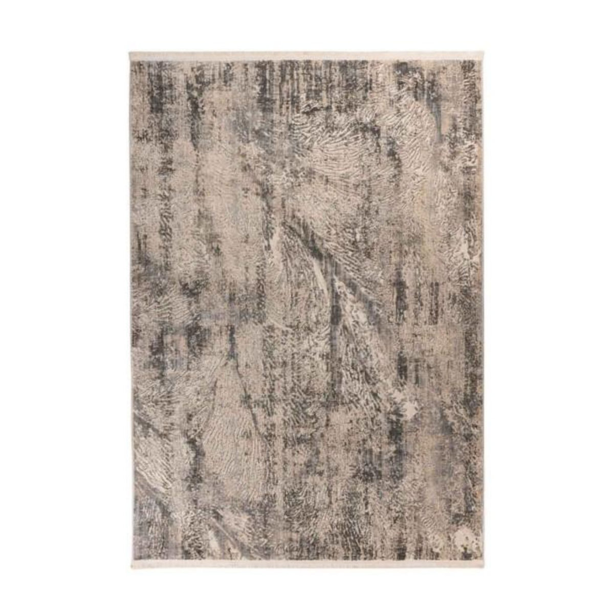 Paris Prix Tapis Tissé à Poils Ras Rétro  Adeon  Gris