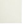 Voir la diapositive 4 : VIDAXL Tapis de tente creme 5x2,5 m