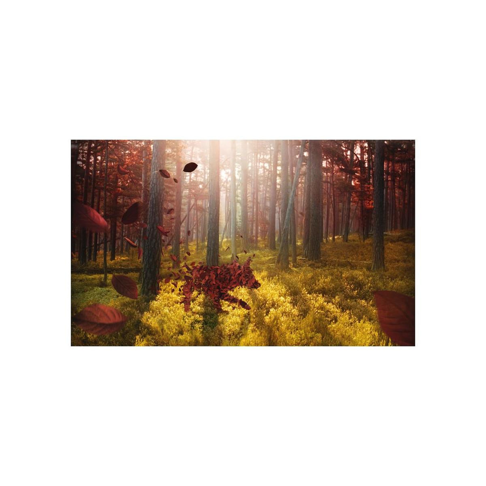 Voir la diapositive 2 : Paris Prix Papier peint  animism  270x450cm