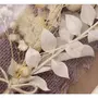 Rayher Bouquet de fleurs séchées blanches
