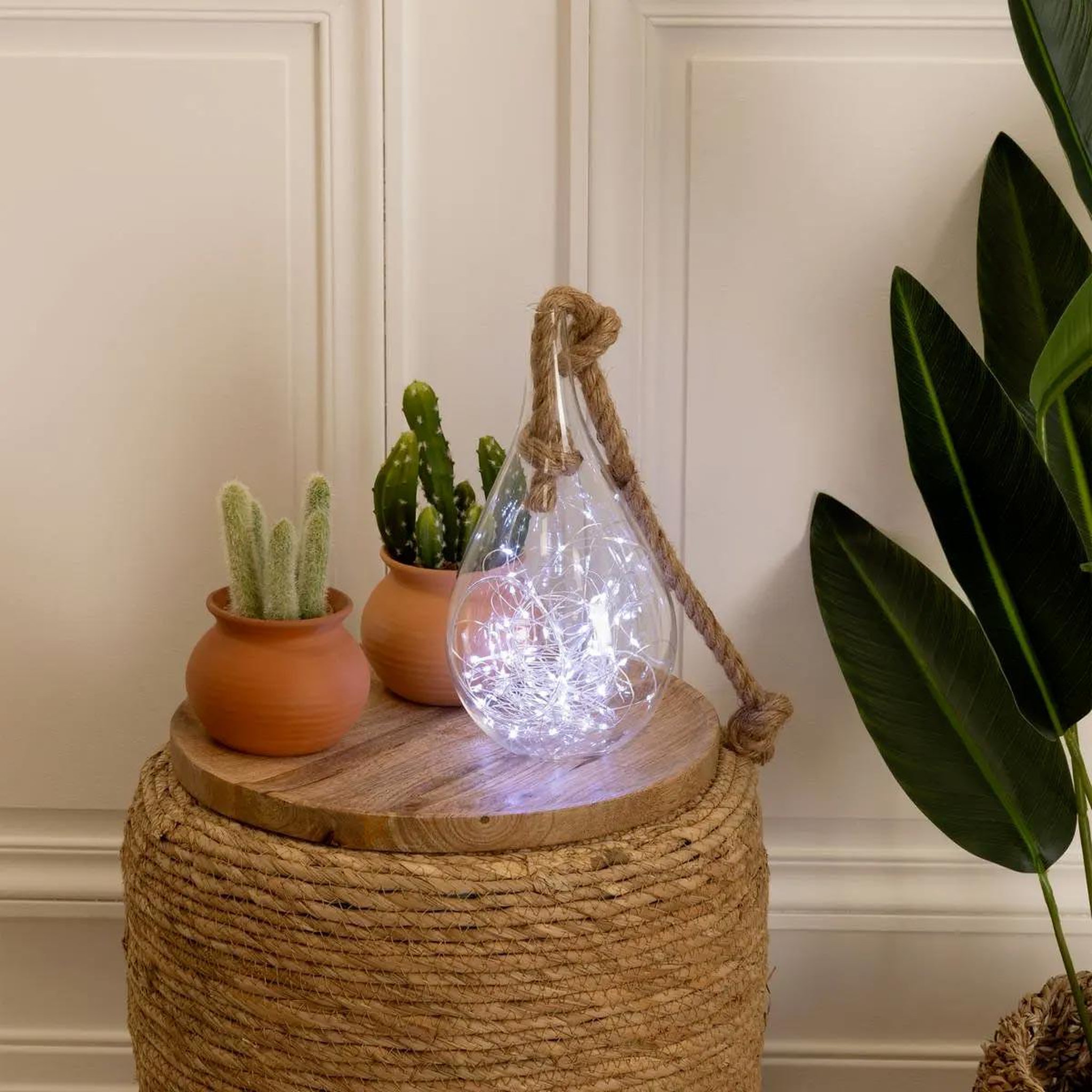 Voir la diapositive 2 : ATMOSPHERA Guirlande lumineuse 100 leds  froid  1020cm blanc