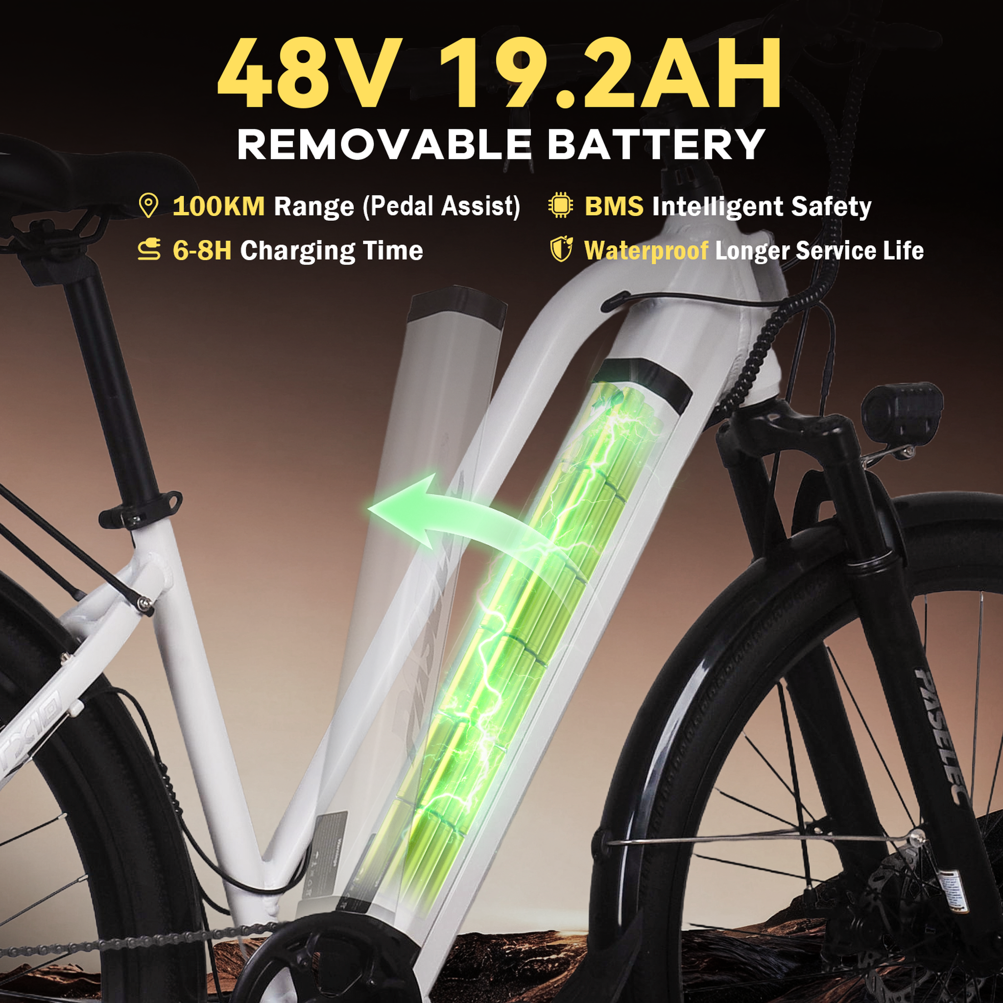Voir la diapositive 4 : PASELEC Vélo électrique de ville PASELEC TX10
