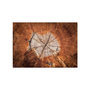 Voir la diapositive 2 : Paris Prix Papier Peint  The Soul of a Tree