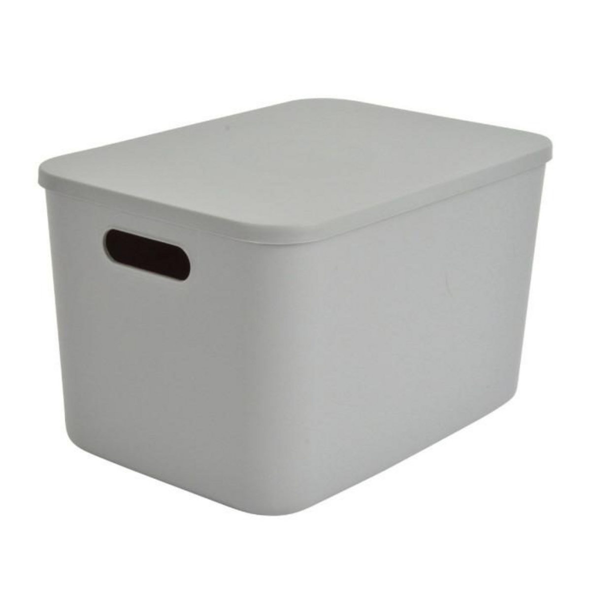 Paris Prix Boîte de Rangement Avec Couvercle  Iris  15,5L Gris