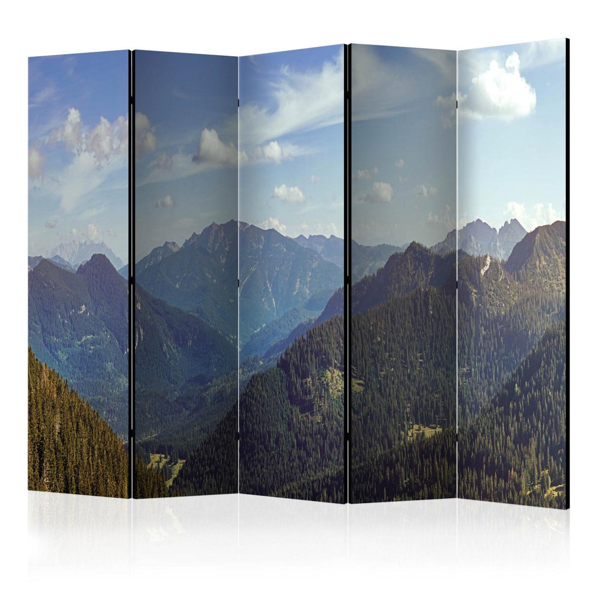 Paris Prix Paravent 5 volets  mountains' magic  172x225cm
