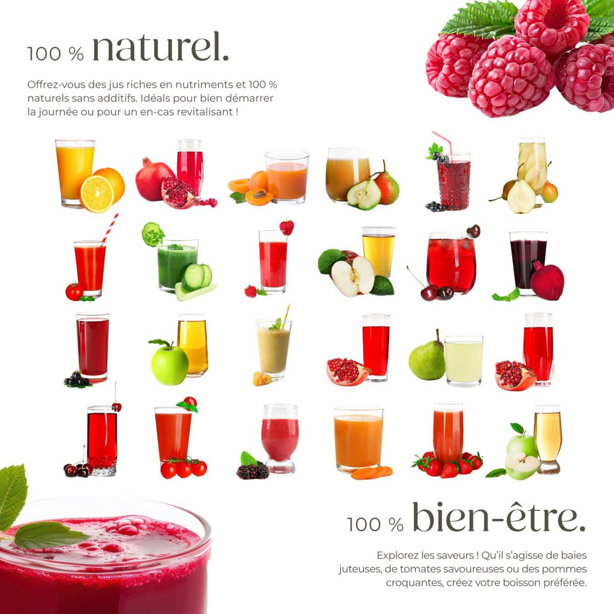 tectake Extracteur de jus capacité de 500ml, 600 W argent