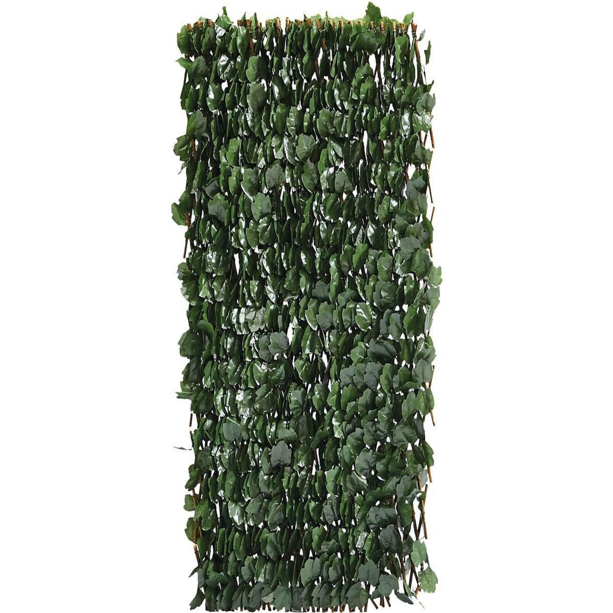 Habitat et Jardin Clôture en treillis de saule  Fragon  - 200 x 100 cm - Vert