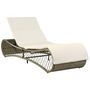 Voir la diapositive 1 : VIDAXL Chaise longue avec coussin Resine tressee Gris